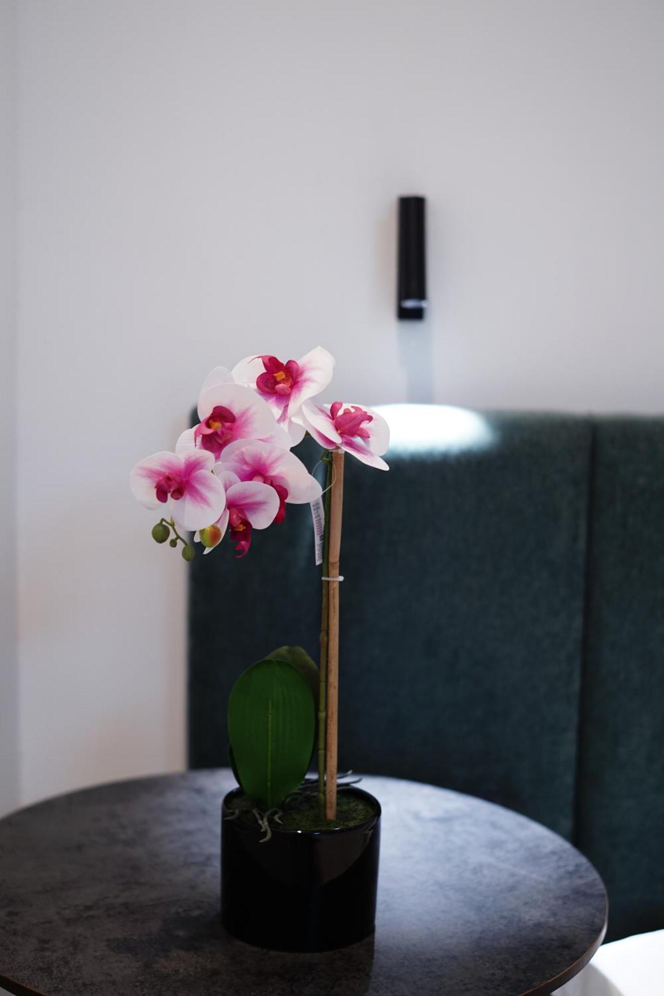 Apartman Heart Of *